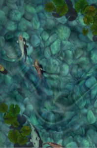 The #1 Paid App: Koi Pond