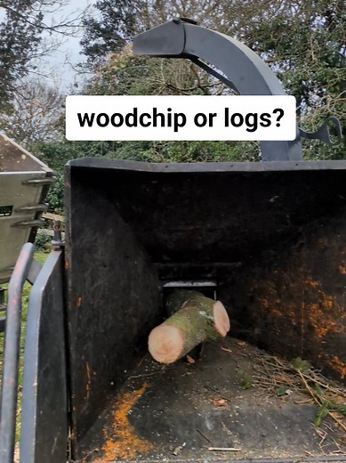Wood Chips vs. Logs: Which is More Valuable?