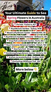 Few more here 👇 List of places to see Spring Flowers in Australia: 📌 Silvan, Victoria 📌 Victoria State Rose Garden, Victoria 📌 Table Cape Tulip Farm, Wynyard, Tasmania 📌 Bendigo, Victoria What's your favourite place to visit during spring in Australia 🇦🇺? #spring #springinaustralia #australianspring #hellospring | Overseas Students Australia