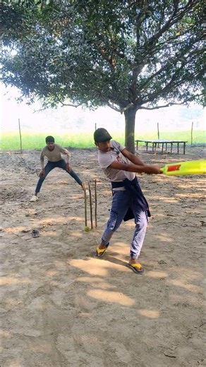 cricket new funny video #ytshorts #funny