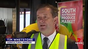 8.3K views · 32 reactions | South Australia's citrus season has arrived for a half-time snack just as kids' winter sports is set to resume. www.7NEWS.com.au #7NEWS | 7NEWS Adelaide | Facebook