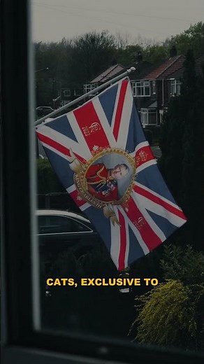 Siamese Cats: A Royal Mystery Unveiled