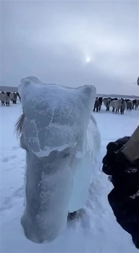 Exploring the Wonders of Nature