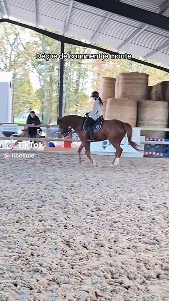 Évolution de mes compétences équestres