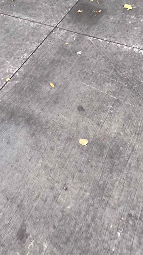 Impressive Transformation of a Mazda RX7 FC