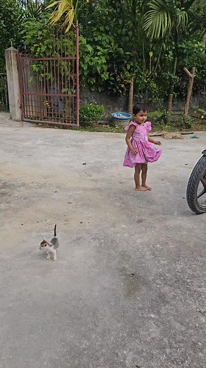 230K views · 4.3K reactions | Baby saved her kitten| save ani.als  #cute #baby #story #reality #help #save #care #love #loveanimals #cat #kitten #meow #lovely #kitty #catlover #babylover Andaman Baby | Andaman Baby | Facebook