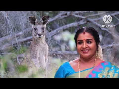 chinna marumagal serial 16th to 17th December 2025_promo|| #chinnamarumagalserialtomorrowpromocoming