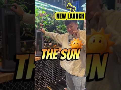 🧨 Last 4 Days CNY Mega Sale! Digital Locks $199, King Size Mattresses $199 & More! 🧨 #hdb #bto