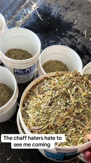 Ultimate Guide to Optimal Horse Feeding Practices