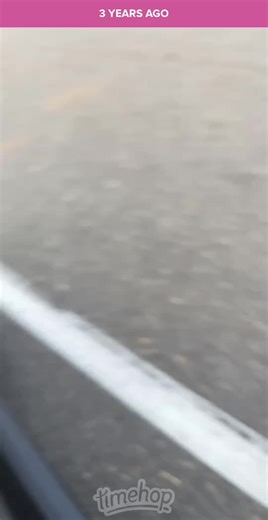 #poptart #funnycat | cat