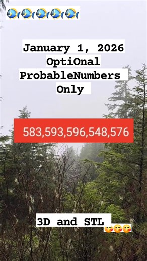 January 1, 2026 OptiOnal ProbableNumbers Only for 3d and STL mirror and syndicate 😊🥰🤩😍😘♥️🙏🙏🙏 #optional #mirror #3d #stl #communitysupport #appreciation #TeamSupport #appreciationpost #TeamSupport | Swertres lucky number