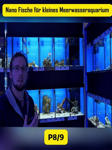 Aquarium Aquascaping Tips for Healthy Fish