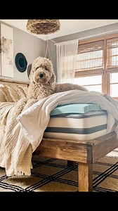 7K views · 15 reactions | Special Deal- Memory Foam Mattress Toppers, slight seconds in Single, Double or King Size, boxed and ready to go! £10! each while stocks last!! Call Us 01661 836717 #mattresstopperdeal #memorymattresstoppers | Surplus Stock & Factory Fabrics NE42 6HD | Facebook