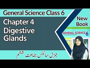 Class 6 Science Chapter 4 - Digestive Glands - 6th Class General Science Chapter 4 Exercise