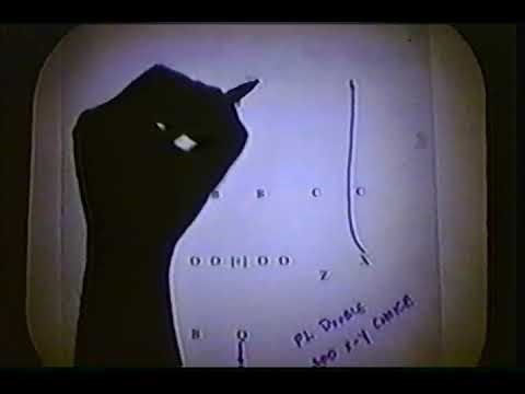 The Shotgun Offense