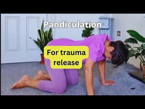 Pandiculation as a trauma releasing practice in somatic therapy