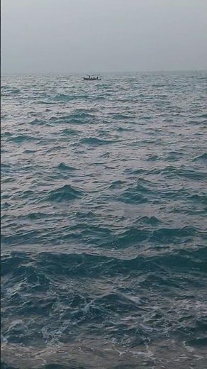 Powerful Ocean Waves | Raging Sea Sounds & Soaring Seagulls 🌊🕊️#nature #beach #relaxingsounds