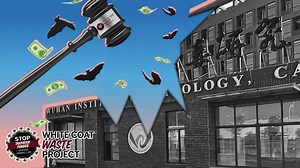 391 reactions · 119 shares | The WCW Project uncovered a disturbing loophole that STILL allows the Wuhan lab to remain eligible for taxpayer dollars, specifically for animal tests. Read more now.良️ | White Coat Waste | Facebook