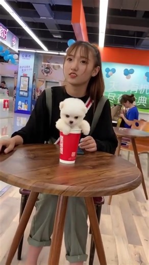 #All My Pets, One Big Hug#Caught with aHandful of Happiness#Fluffy Squad Goals