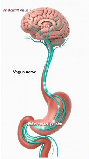 What Happens When You Drink Cold Water Fast