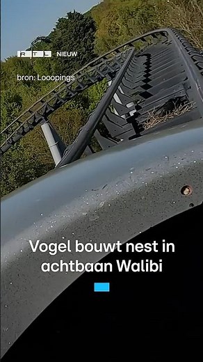 Vogel bouwt nestjes in achtbaan Walibi | RTL Nieuws