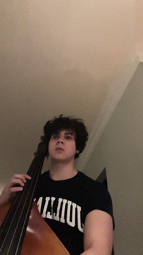 Beethoven-symphony no.9 Double Bass excerpt