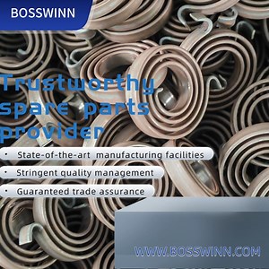 [Hot Item] Helical Spring Made of Stainless Steel Flat Springs Designed Specifically for Gardening Facilities