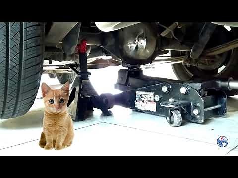 COMO LEVANTAR UN AUTO (método correcto para evitar accidentes) |GDL automotriz