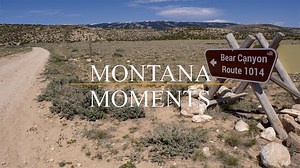 The Pryors are filled with trails for hiking, UTV/ATV use, and even horseback riding. Bear Canyon is one of these trails. Just 2.7 miles down Helt Road and you'll find Bear Canyon Route 1014. This hike is full of breathtaking views. Remember to take lots of water with you when you hike, especially during the hotter months of the year. #Recreation #Hiking #Montana #PryorMountains #ArmchairAdventures | Bureau of Land Management - Montana/Dakotas