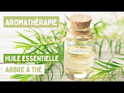 TOUT SAVOIR SUR L'HUILE ESSENTIELLE DE TEA TREE : PROPRIÉTÉS, BIENFAITS ET UTILISATIONS 🌿