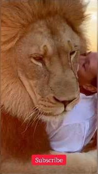“Wild Lion Hugging Woman in African Grasslands – Incredible Animal Bond” 🦁