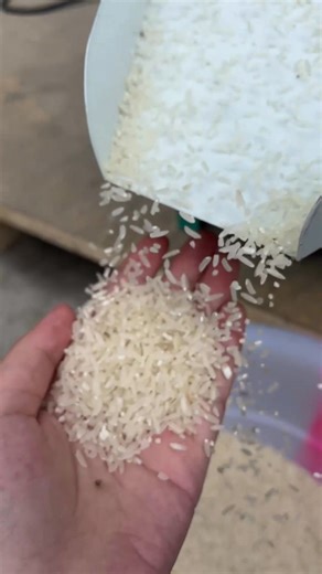 13K views · 148 reactions | 1400 rpm speed ⚙Up to 72% yield  #RiceMillMachine #ThresherMachine #automaticricemill #RiceFarmers | Mini Rice Mill Machine | Facebook