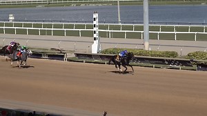 💰Knightsbridge dominates the G3 Fred Hooper at Gulfstream Park ! | Daily Racing Form