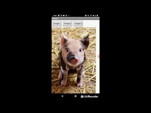 App Inventor Photo Gallery Tutorial