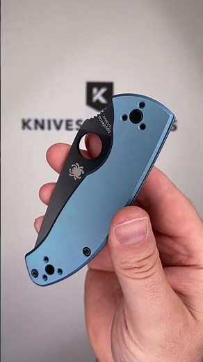 Spyderco Tenacious Black C122TIBLBKP Blue Titanium pocket knife