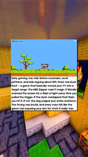 Duck Hunt Innovated FPS Games 🎯🦆