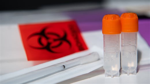 DNA evidence solves cold case of NY woman murdered in 1964