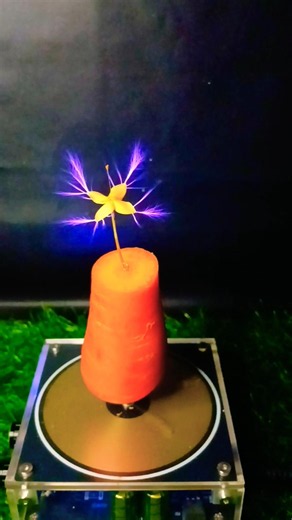 Tesla Coil ⚡ + Carrot 🥕 + Flower 🌸 #teslacoil #experiment #highvoltage