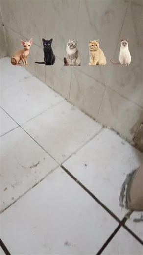 Videos de Mía devany (@devany1763) con “My baby my baby - MadZ”