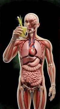 “What Sugar Cane Juice Does to Your Body | Benefits, Risks & Blood Sugar Explained” #news #usa