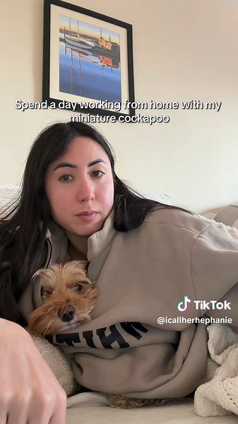 Working from Home with My Cockapoo in Style