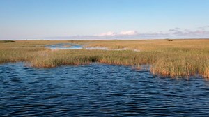 The Swamp: American Experience - The Swamp: Chapter 1 - Twin Cities PBS