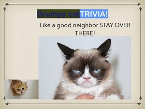 Grumpy Cat