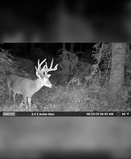 Moultrie Products on Reels