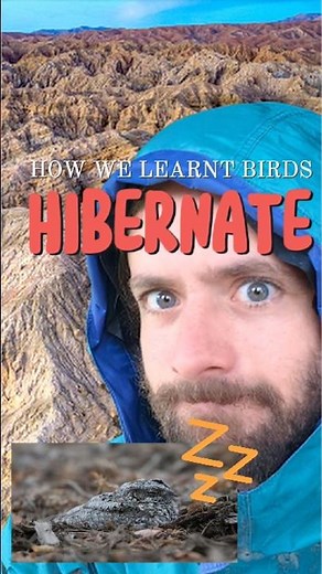 the secrets of bird hibernation. #biology #science #wildlife #nativeamerican #facts