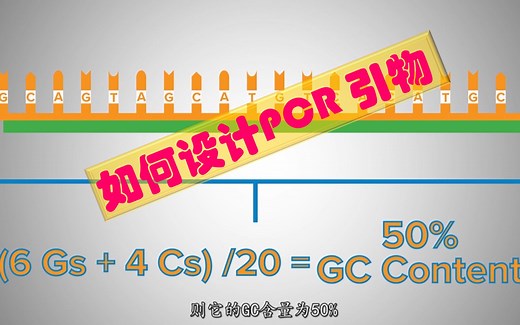 一篇看懂 -- 如何设计PCR引物