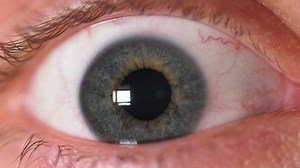 Human eye focusing in - Free Stock Video
