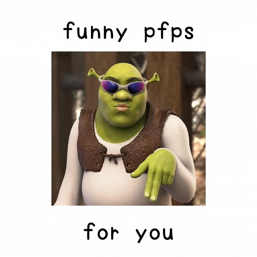 Funny Profile Pictures Ideas for Social Media