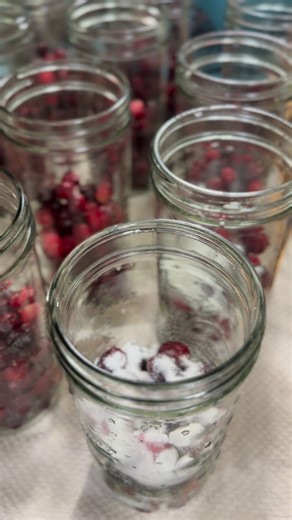 How to make homemade cranberry juice at home. #cranberry #cranberryjuice #theeastonhomestead #homesteaders #recipes #recipe #recipeoftheday #canningandpreserving #canning #canningseason #homesteadlife #homesteading #countryliving #homesteadliving | Hannah Easton