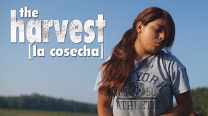 The Harvest/La Cosecha